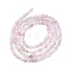 Natural Kunzite Beads Strands G-G343-B03-3mm-3