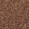 MIYUKI Delica Beads SEED-MY11-DB1241-3