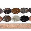 Natural Gemstone Beads Strands G-T143-21C-4