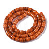 Natural Freshwater Shell Beads Strands SHEL-Q024-001G-2