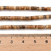 Natural Picture Jasper Beads Strands G-P608-A12-01-5