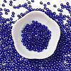 Glass Seed Beads SEED-H002-C-A048-2