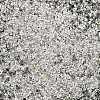 TOHO 11/0 Demi Round Beads SEED-DR11-PF21-3