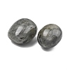 Natural Labradorite Beads G-G348-01B-10-2