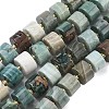 Natural Ocean Agate/Ocean Jasper Beads Strands G-C270-I04-01-2