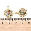 Brass Natural Paua Shell Irregular Pendants KK-I453-01G-01-3
