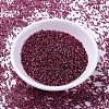 MIYUKI Delica Beads SEED-J020-DB2161-2