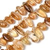 Natural Citrine(Heated) Beads Strands G-P604-A25-01-1