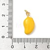 Brass Enamel Pendants KK-H523-01H-G-3