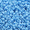 TOHO 6/0 Round Beads SEED-TR06-0403F-4