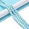 Natural Howlite Beads Strands G-E604-B02-B-2