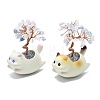 Natural Morganite Chips Tree of Life Decorations with Cat Display Decorations DJEW-K025-03F-1