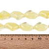 Handmade Lampwork Beads Strands LA-N046-02N-4
