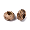 Natural Picture Jasper European Beads G-N359-17A-04-2