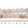 Natural Dendritic Agate Beads Strands G-A248-A07-02-5