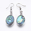 Abalone Shell/Paua Shell Dangle Earrings EJEW-F147-A07-1
