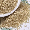 MIYUKI Delica Beads SEED-JP0008-DB0621-1