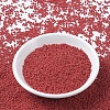 MIYUKI Round Rocailles Beads SEED-G007-RR0408-2