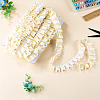 10Yards Polyester Lace Ribbon OCOR-TA0004-26A-5
