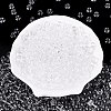 FGB Transparent Glass Seed Beads SEED-N013-01B-13-1