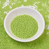 MIYUKI Delica Beads SEED-X0054-DB0763-2