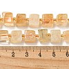 Natural Citrine Beads Beads Strands G-G053-B09-01C-5