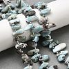 Natural Larimar Beads Strands G-Z091-A09-1