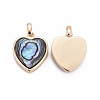 Natural Abalone Shell/Paua ShellCharms X-BSHE-F011-04B-G-2