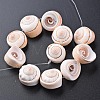 Natural Spiral Shell Bead Strands SSHEL-N034-106-3