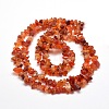 Natural Agate Chip Bead Strands X-G-M205-47-2