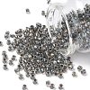 TOHO 6/0 Round Beads SEED-TR06-0266-1