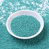 MIYUKI Round Rocailles Beads SEED-G007-RR0412-2