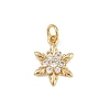 Brass Micro Pave Cubic Zirconia Charms KK-H077-02G-05-1