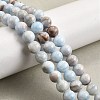 Natural Striped Stone Beads Strands G-D315-A01-01-12mm-1