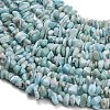 Natural Larimar Beads Strands G-D109-B03-3