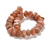 Natural Sunstone Beads Strands G-N327-05-12-3
