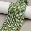 Natural Chrysoprase Beads Strands X-G-M389-22-1