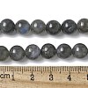 Natural Labradorite Beads Strands G-U017-8MM-01-5