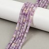 Natural Lepidolite/Purple Mica Stone Beads Strands G-H230-80-1