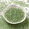 Baking Paint Glass Seed Beads SEED-K009-03B-12-2