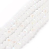 Electroplate Glass Beads Strands EGLA-A034-J10mm-L08-1