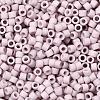 MIYUKI Delica Beads SEED-J020-DB0356-2