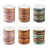 6Rolls 6 Styles Segment Dyed Polyester Thread NWIR-TA0001-47B-2