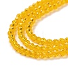 Transparent Glass Beads Strands GLAA-H021-03-06-5