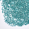 Plated Glass Seed Beads MRMJ-S034-04H-2