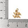 304 Stainless Steel Charms LS-STAS-R001-04G-11-3