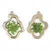 Epoxy Resin Pendants LS-X-RESI-T045-028B-3