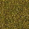 TOHO Round Seed Beads SEED-XTR11-0996FM-2