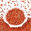 FGB Opaque Colours Glass Seed Beads SEED-Q040-07A-A03-2