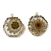 Inner Dried Flower Resin Pendants RESI-P028-02KCG-05-2